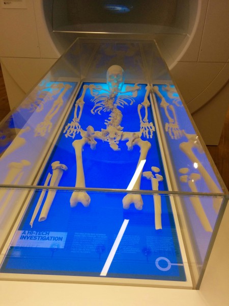 Richard's skeleton